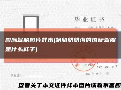国际驾照图片样本(帆船航航海的国际驾照是什么样子)缩略图