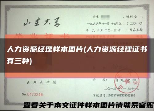 人力资源经理样本图片(人力资源经理证书有三种)缩略图