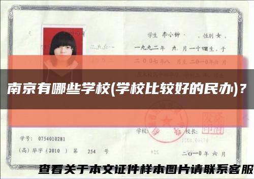 南京有哪些学校(学校比较好的民办)？缩略图