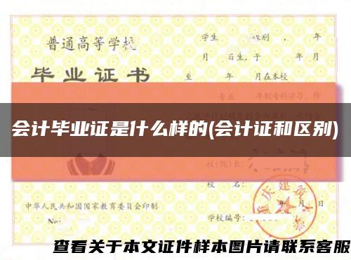 会计毕业证是什么样的(会计证和区别)缩略图