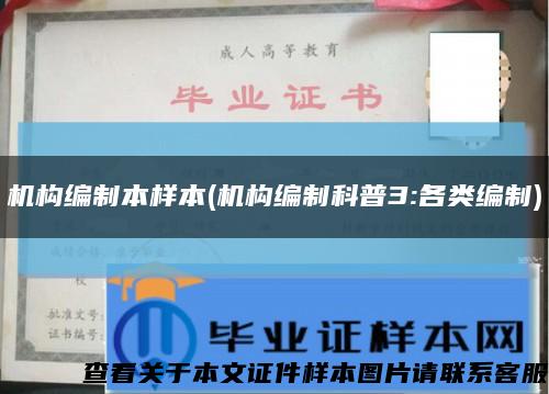 机构编制本样本(机构编制科普3:各类编制)缩略图