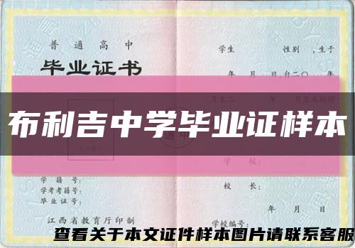 布利吉中学毕业证样本缩略图