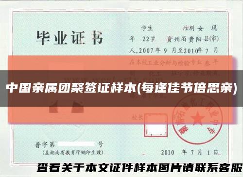 中国亲属团聚签证样本(每逢佳节倍思亲)缩略图