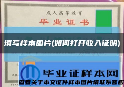 填写样本图片(如何打开收入证明)缩略图