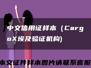 中文信用证样本（CargoX埃及验证机构)缩略图