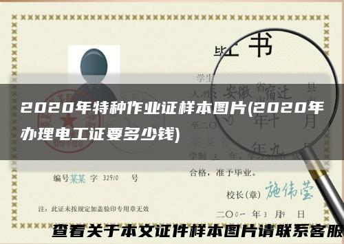 2020年特种作业证样本图片(2020年办理电工证要多少钱)缩略图