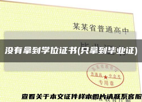 没有拿到学位证书(只拿到毕业证)缩略图