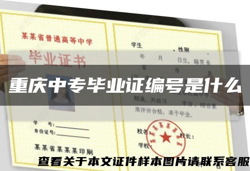 重庆中专毕业证编号是什么缩略图