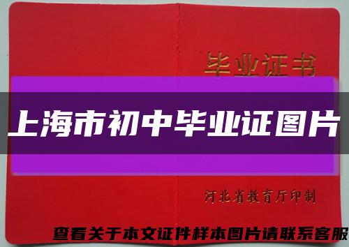 上海市初中毕业证图片缩略图
