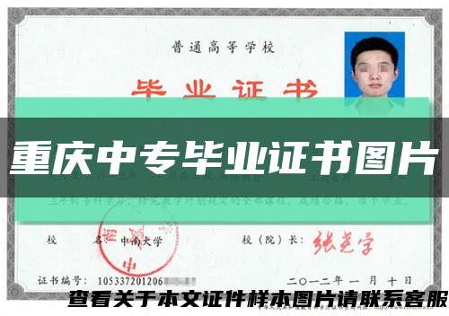 重庆中专毕业证书图片缩略图