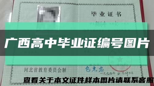 广西高中毕业证编号图片缩略图