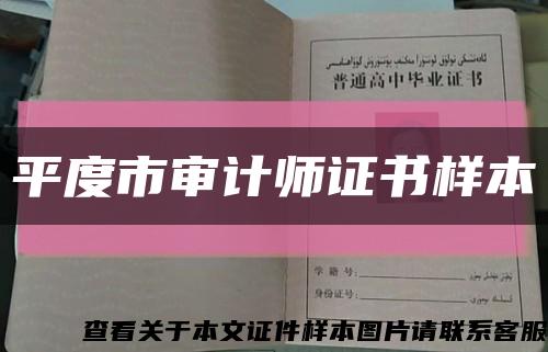 平度市审计师证书样本缩略图