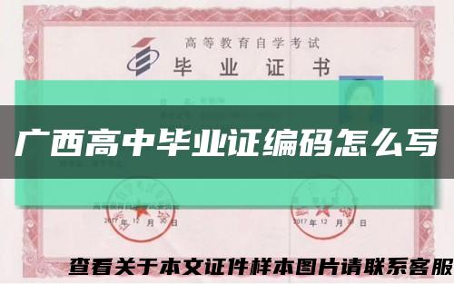 广西高中毕业证编码怎么写缩略图