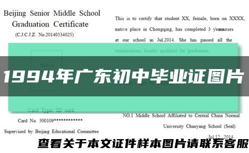 1994年广东初中毕业证图片缩略图