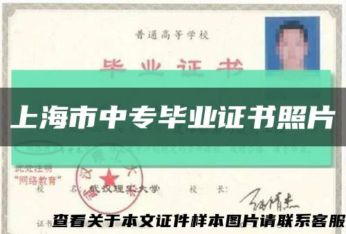 上海市中专毕业证书照片缩略图