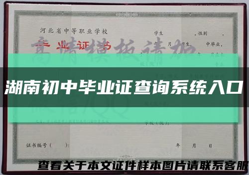 湖南初中毕业证查询系统入口缩略图