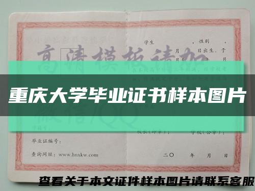 重庆大学毕业证书样本图片缩略图