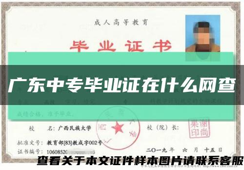广东中专毕业证在什么网查缩略图