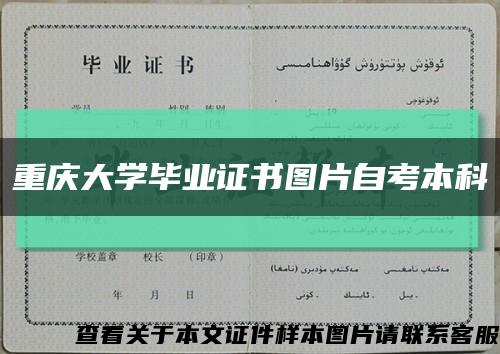 重庆大学毕业证书图片自考本科缩略图