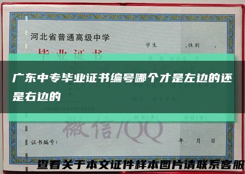 广东中专毕业证书编号哪个才是左边的还是右边的缩略图