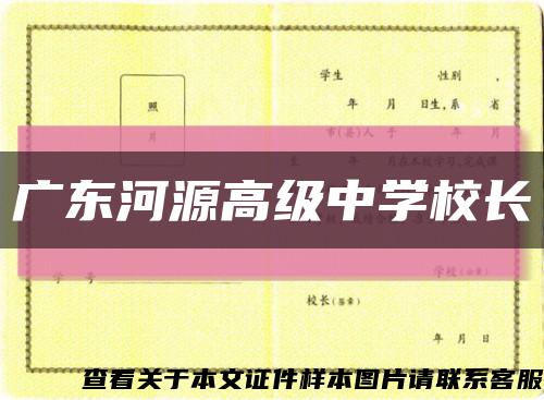 广东河源高级中学校长缩略图