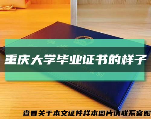 重庆大学毕业证书的样子缩略图