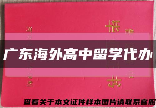 广东海外高中留学代办缩略图