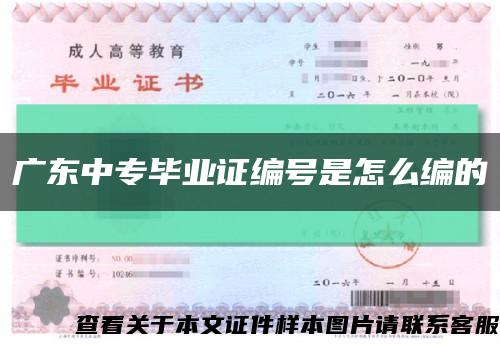 广东中专毕业证编号是怎么编的缩略图