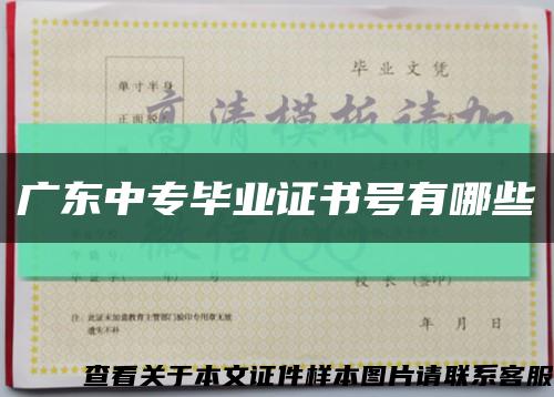 广东中专毕业证书号有哪些缩略图