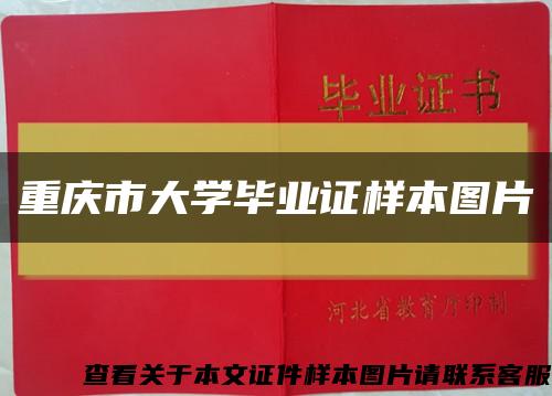 重庆市大学毕业证样本图片缩略图