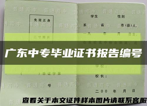 广东中专毕业证书报告编号缩略图