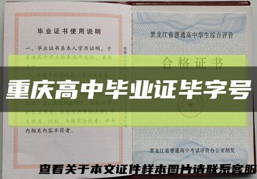 重庆高中毕业证毕字号缩略图
