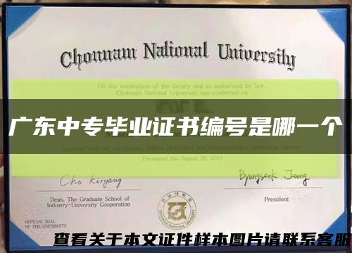 广东中专毕业证书编号是哪一个缩略图