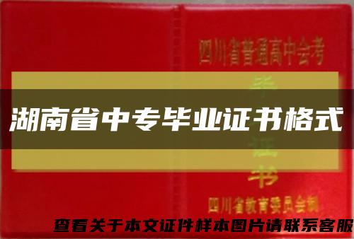 湖南省中专毕业证书格式缩略图