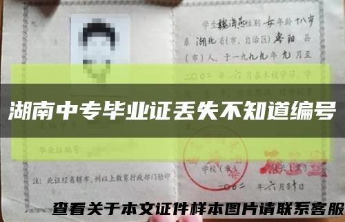 湖南中专毕业证丢失不知道编号缩略图