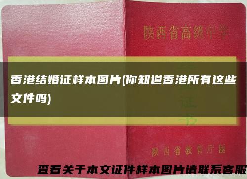 香港结婚证样本图片(你知道香港所有这些文件吗)缩略图