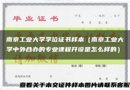 南京工业大学学位证书样本（南京工业大学中外合办的专业课程开设是怎么样的）缩略图
