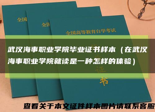武汉海事职业学院毕业证书样本（在武汉海事职业学院就读是一种怎样的体验）缩略图