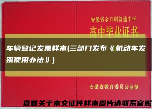 车辆登记发票样本(三部门发布《机动车发票使用办法》)缩略图