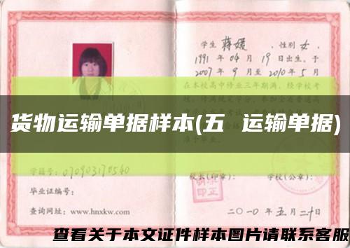 货物运输单据样本(五 运输单据)缩略图