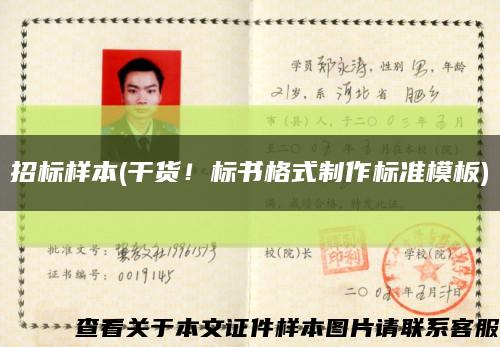 招标样本(干货！标书格式制作标准模板)缩略图