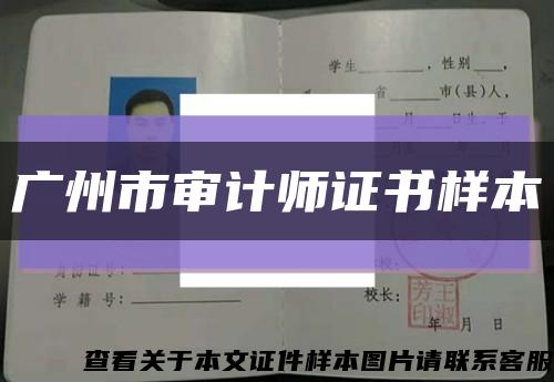广州市审计师证书样本缩略图