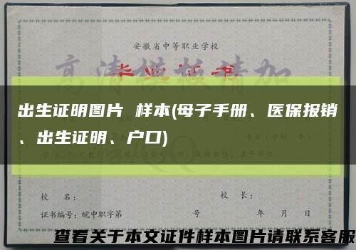 出生证明图片 样本(母子手册、医保报销、出生证明、户口)缩略图