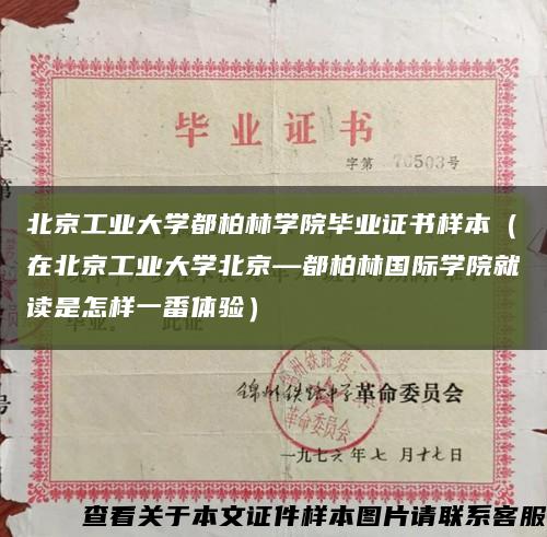北京工业大学都柏林学院毕业证书样本（在北京工业大学北京—都柏林国际学院就读是怎样一番体验）缩略图