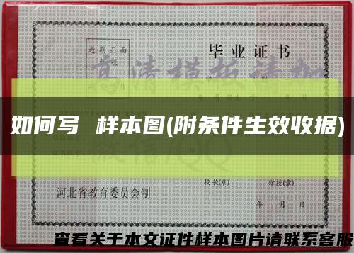 如何写 样本图(附条件生效收据)缩略图