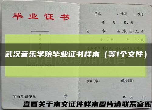武汉音乐学院毕业证书样本（等1个文件）缩略图