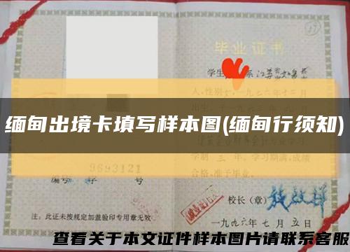 缅甸出境卡填写样本图(缅甸行须知)缩略图