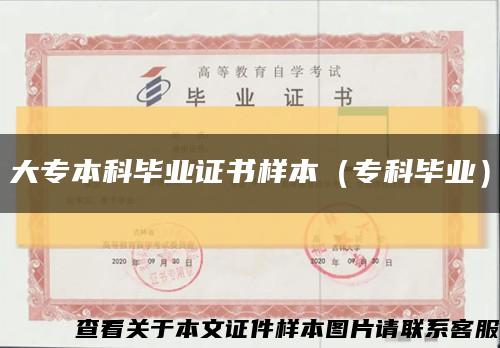 大专本科毕业证书样本（专科毕业）缩略图