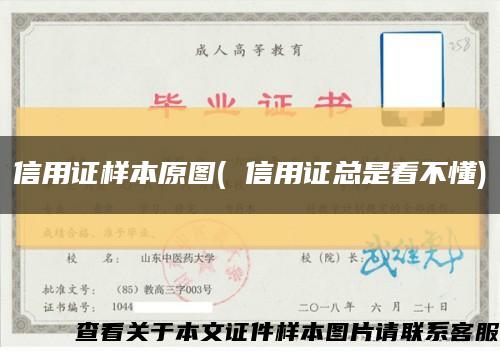 信用证样本原图( 信用证总是看不懂)缩略图