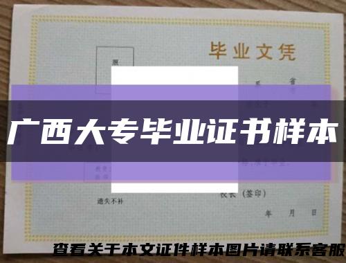 广西大专毕业证书样本缩略图